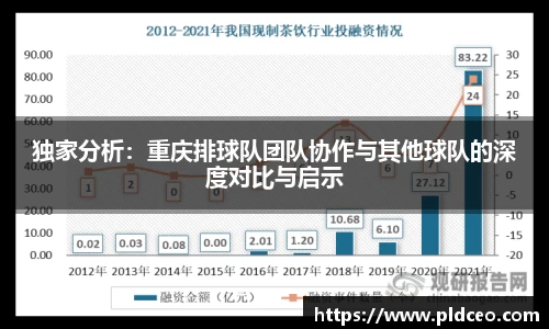 独家分析：重庆排球队团队协作与其他球队的深度对比与启示