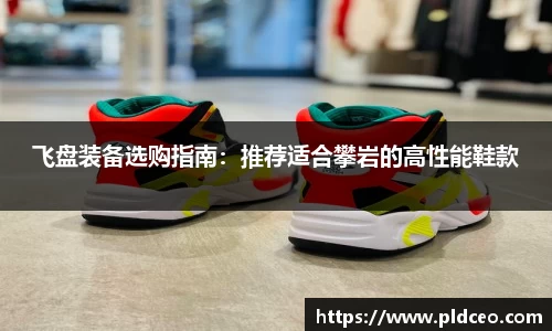 飞盘装备选购指南：推荐适合攀岩的高性能鞋款
