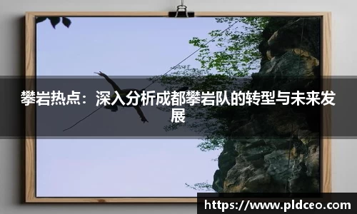 攀岩热点：深入分析成都攀岩队的转型与未来发展
