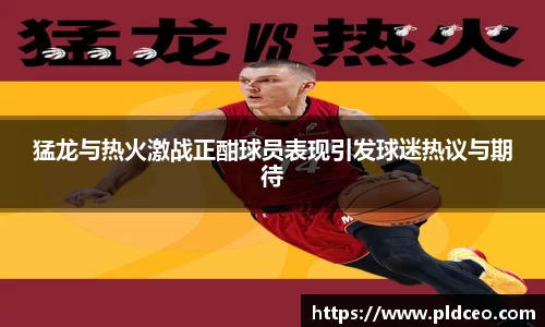 猛龙与热火激战正酣球员表现引发球迷热议与期待
