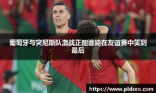 葡萄牙与突尼斯队激战正酣谁能在友谊赛中笑到最后